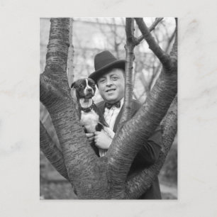 Boston Terrier, 1920-talet Vykort