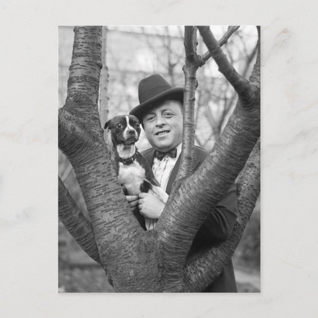 Boston Terrier, 1920-talet Vykort (Framsida)