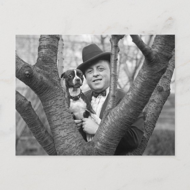 Boston Terrier, 1920-talet Vykort (Framsida)