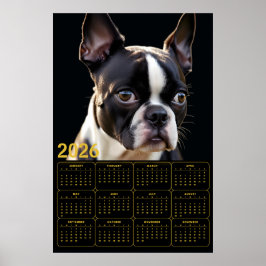 Boston Terrier 2026 Calendar Poster