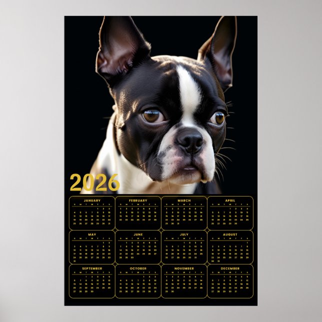 Boston Terrier 2026 Kalender  Poster (Framsidan)