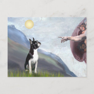 Boston Terrier (#3) Vykort