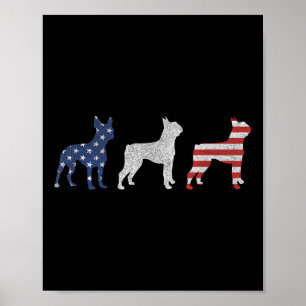 Boston Terrier 4 juli hund patriotisk amerikansk f Poster