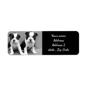 Boston Terrier-Adressetiketter Returadress Etikett