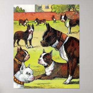 Boston Terrier and Puppies Vintage Illustration Poster