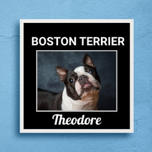 Boston Terrier Anpassningsbar Hund Poster