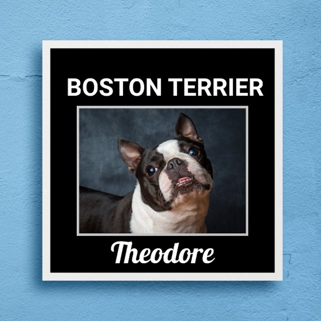 Boston Terrier Anpassningsbar Hund Poster (Skapare uppladdad)