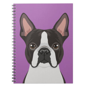 Boston Terrier Anteckningsbok Med Spiral