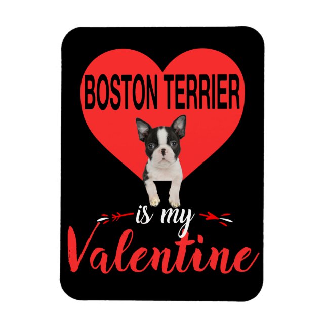 Boston Terrier är mina hjärtans gåvor Magnet (Vertikal)