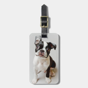 Boston Terrier Bagagebricka