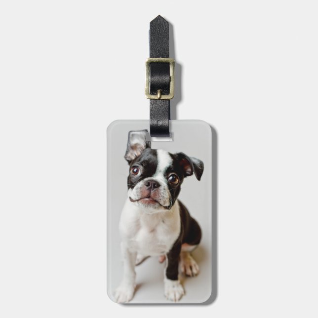 Boston Terrier Bagagebricka (Vertikal Framsida)