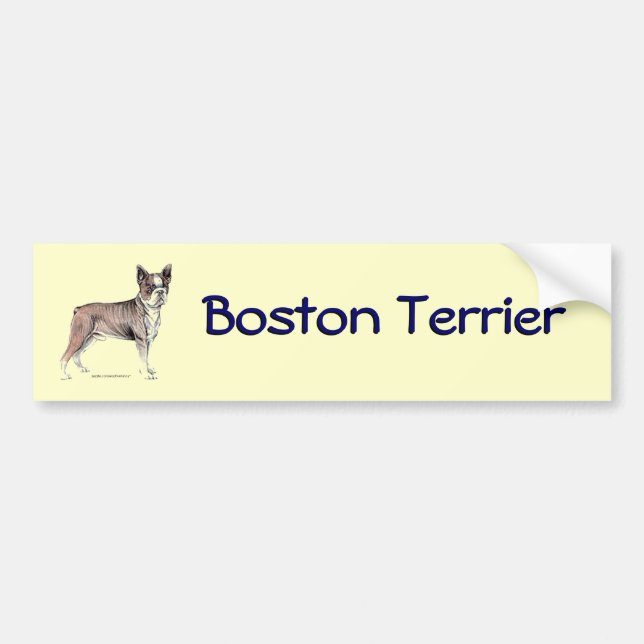 Boston Terrier Bildekal (Framsidan)