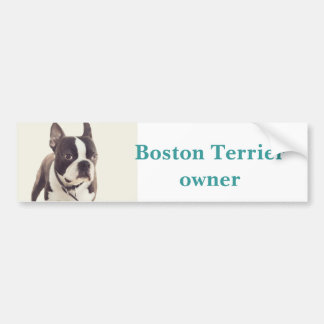 boston terrier bildekal
