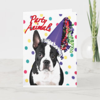 Boston Terrier Birthday Card Kort