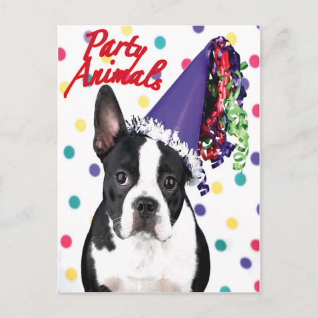 Boston Terrier Birthday Card Vykort (Framsida)