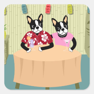 Boston Terrier Boy & Girl Fyrkantigt Klistermärke