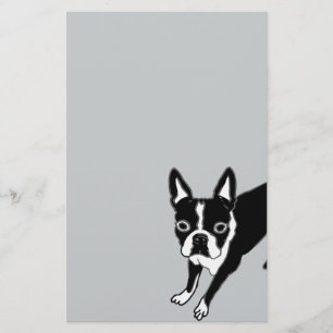 Boston Terrier Brevpapper