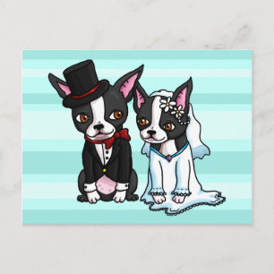 Boston Terrier Bride och Groom Vykort