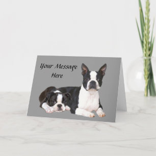 Boston Terrier Buddies Greeting Card Helgkort