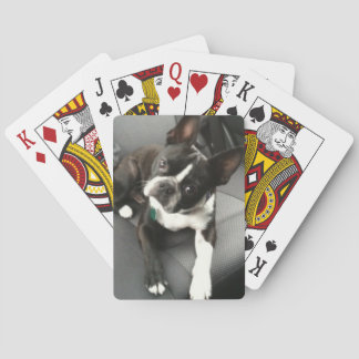 Boston Terrier Buddy Cards Spelkort