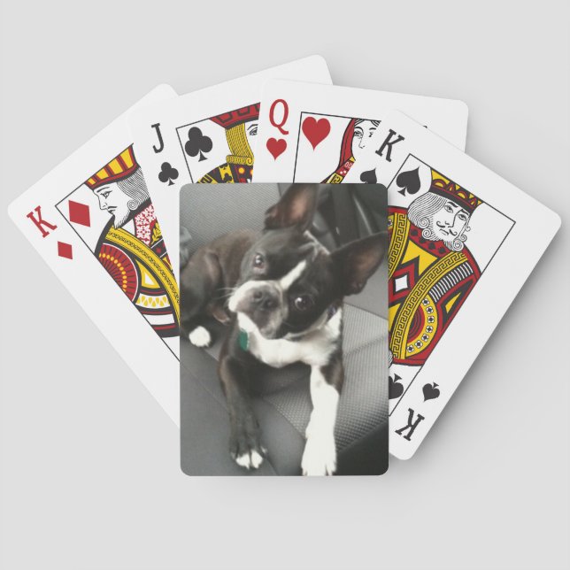 Boston Terrier Buddy Cards Spelkort (Baksidan)