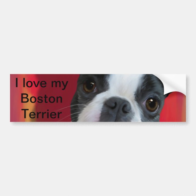 Boston Terrier Bumper Sticker Bildekal (Framsidan)