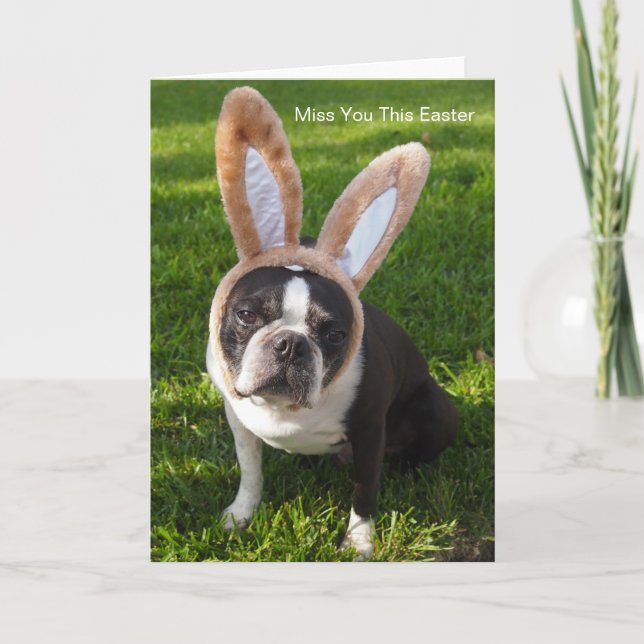 Boston Terrier Bunny Greeting Card Helgkort (Framsida)