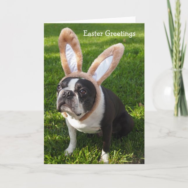 Boston Terrier Bunny Påsk Greeting Card 2 Helgkort (Framsida)