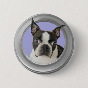 BOSTON TERRIER-BUTTON KNAPP