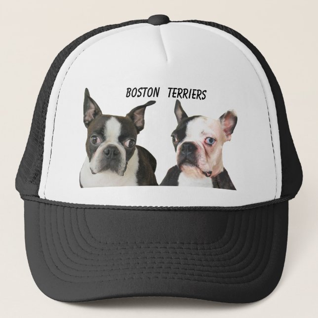 BOSTON TERRIER-CAP TRUCKERKEPS (Framsida)