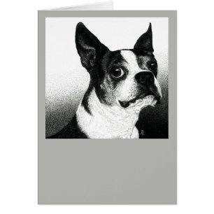 Boston Terrier Card - "Boston Stil" OBS Kort