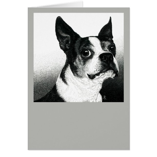 Boston Terrier Card - "Boston Stil" OBS Kort (Framsidan)