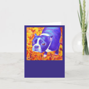 Boston Terrier Card - "Daisy" Kort