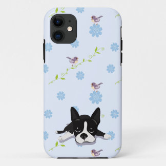 Boston Terrier