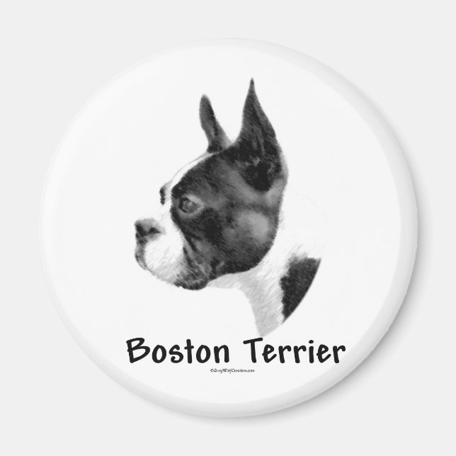 Boston Terrier Charcol 2 - Magnet (Framsidan)
