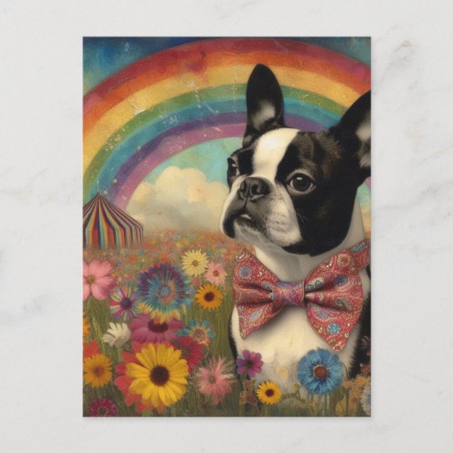 Boston Terrier Circus Hippie Rainbow Vykort (Framsida)
