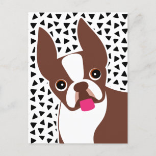 Boston Terrier Cute Brown och White Vykort