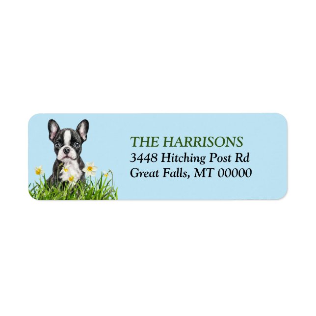 Boston Terrier Daffodil Garden Returadress Returadress Etikett (Framsidan)