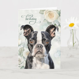 Boston Terrier Dog with White Roses Birthday Kort