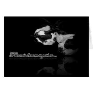 Boston Terrier Dreams Card Hälsningskort