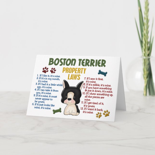 Boston Terrier Egendom Laws 4 Kort (Framsida)