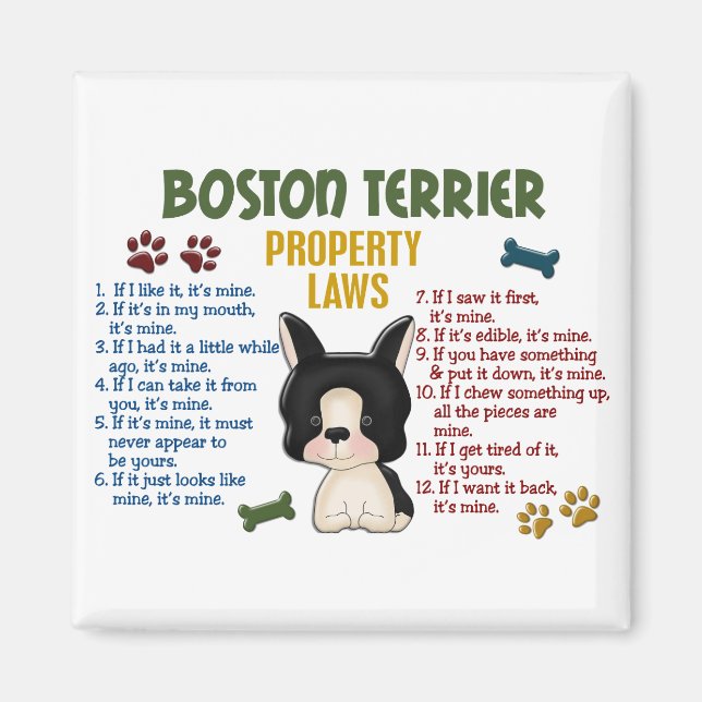 Boston Terrier Egendom Laws 4 Magnet (Framsidan)