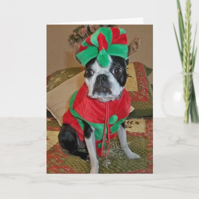 Boston Terrier Elf-julkort Helgkort (Framsida)