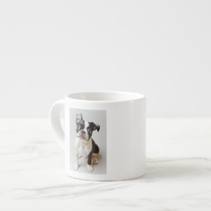 Boston Terrier Espressomugg