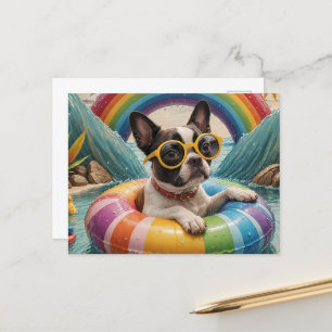 Boston Terrier Flytande på sommardag Vykort