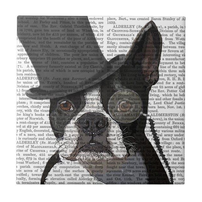 Boston Terrier, Formal Hound and Hat Kakelplatta (Framsidan)