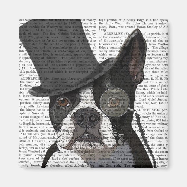 Boston Terrier, Formal Hound and Hat Magnet (Framsidan)