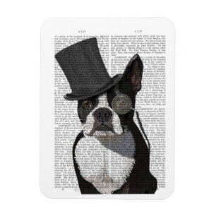 Boston Terrier, Formal Hound och Hat Magnet