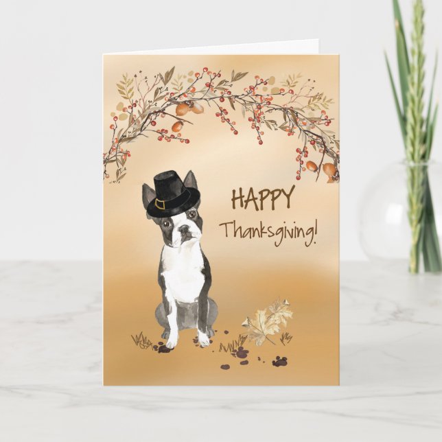 Boston Terrier Funny Pilgrim Hat Thanksgiving Kort (Framsida)