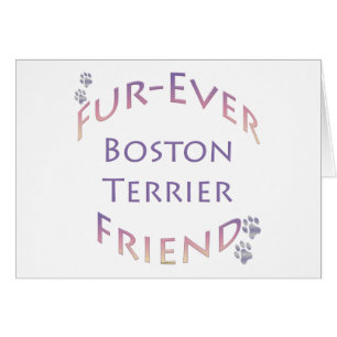Boston Terrier Furever Hälsningskort